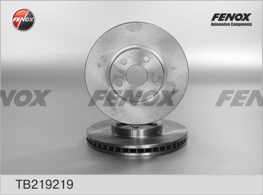 Fenox TB219219 - Тормозной диск autosila-amz.com
