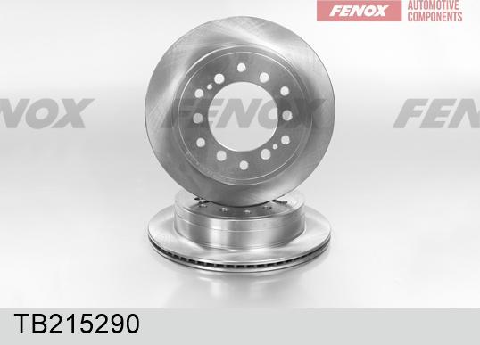 Fenox TB215290 - Тормозной диск autosila-amz.com
