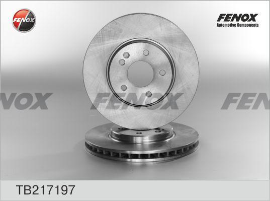 Fenox TB217197 - Тормозной диск autosila-amz.com