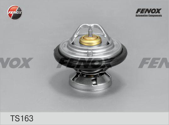 Fenox TS163 - Термостат охлаждающей жидкости / корпус autosila-amz.com