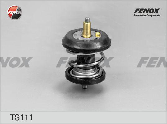 Fenox TS111 - Термостат охлаждающей жидкости / корпус autosila-amz.com