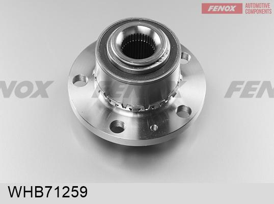 Fenox WHB71259 - Ступица колеса, поворотный кулак autosila-amz.com