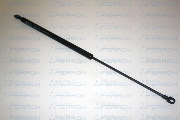 FERRON 254 - Газовая пружина, капот autosila-amz.com