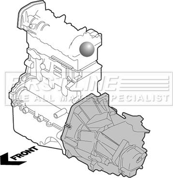 First Line FEM4341 - Подушка, опора, подвеска двигателя autosila-amz.com