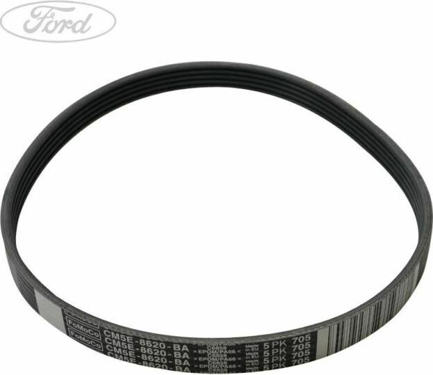 FORD 5113695 - Поликлиновой ремень autosila-amz.com