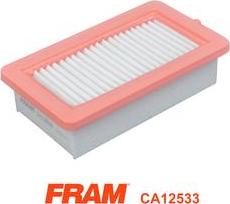 FRAM CA12533 - Воздушный фильтр, двигатель autosila-amz.com