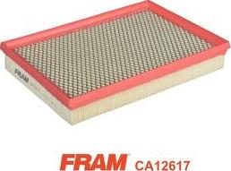 FRAM CA12617 - Воздушный фильтр, двигатель autosila-amz.com