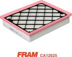 FRAM CA12025 - Воздушный фильтр, двигатель autosila-amz.com