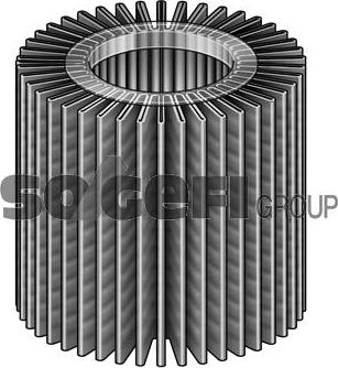 FRAM CH10158 - Масляный фильтр autosila-amz.com