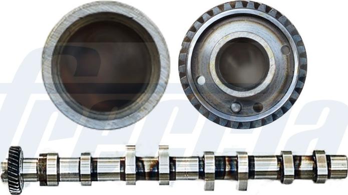 Freccia CM05-2139 - Распредвал autosila-amz.com