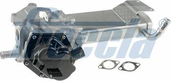 Freccia EGR12-211 - Клапан EGR VW GOLF VI 2.0 TDI 08-13 autosila-amz.com