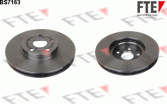 FTE BS7163 - Тормозной диск autosila-amz.com