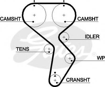 Gates 5488XS - Ремень ГРМ Gates 5488XS autosila-amz.com