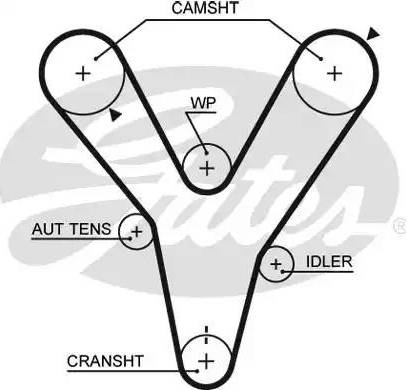 Gates 5584XS - Зубчатый ремень ГРМ autosila-amz.com