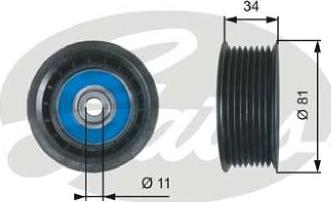 GATES-AU 36517 - Ролик, поликлиновый ремень autosila-amz.com