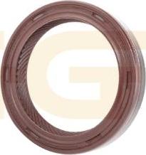 GGT SEKD029 - Уплотняющее кольцо, коленчатый вал autosila-amz.com