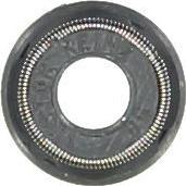 Glaser P76968-00 - Уплотнительное кольцо, стержень клапана autosila-amz.com
