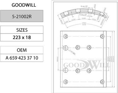 GoodWill 5-21002 R - Комплект тормозных колодок, барабанные autosila-amz.com