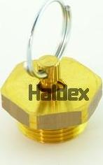 Haldex 315019031 - Клапан слива воды autosila-amz.com