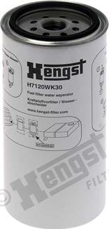 Hengst Filter H7120WK30 - Топливный фильтр autosila-amz.com