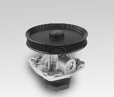 Hepu P125 - Водяной насос autosila-amz.com