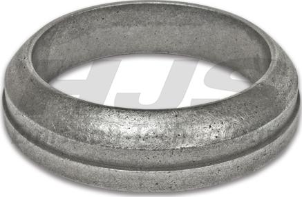 HJS 83 11 1901 - Уплотнительное кольцо, труба выхлопного газа autosila-amz.com
