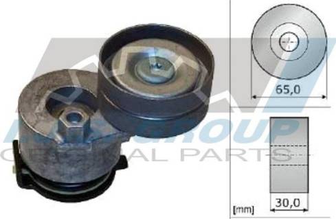 IJS GROUP 93-2457 - Натяжитель, поликлиновый ремень autosila-amz.com