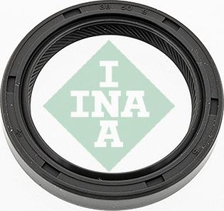 INA 413 0403 10 - Уплотняющее кольцо, коленчатый вал autosila-amz.com