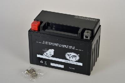 IPSA TMBA51013 - Стартерная аккумуляторная батарея, АКБ autosila-amz.com