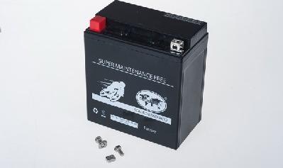 IPSA TMBA81600 - Стартерная аккумуляторная батарея, АКБ autosila-amz.com