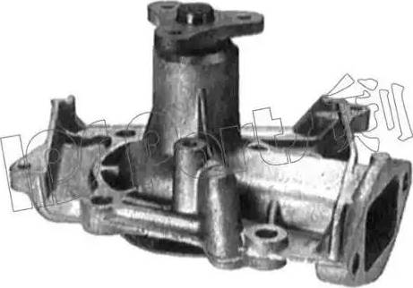 IPS Parts IPW-7310 - Водяной насос autosila-amz.com