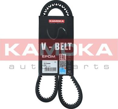 Kamoka 7010309 - Клиновой ремень, поперечные рёбра autosila-amz.com