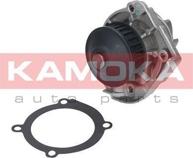 Kamoka T0118 - Водяной насос autosila-amz.com