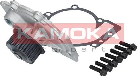 Kamoka T0137 - Насос autosila-amz.com