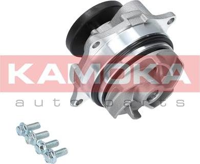 Kamoka T0129 - Водяной насос autosila-amz.com