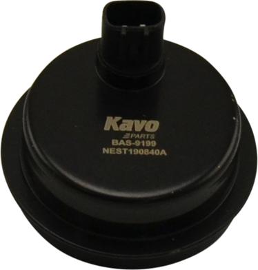 Kavo Parts BAS-9199 - Датчик ABS, частота вращения колеса autosila-amz.com