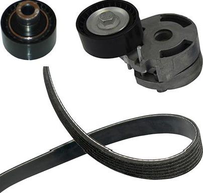 Kavo Parts DKM-4501 - Комплект клинового ремня autosila-amz.com