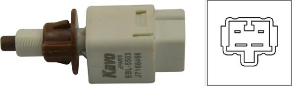 Kavo Parts EBL-5503 - Выключатель фонаря сигнала торможения autosila-amz.com