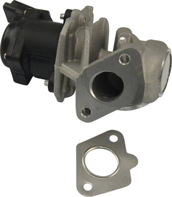 Kavo Parts EEG-9004 - Клапан возврата ОГ autosila-amz.com