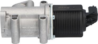 Kavo Parts EEG-8502 - Клапан возврата ОГ autosila-amz.com