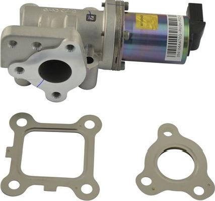 Kavo Parts EEG-3007 - Клапан возврата ОГ autosila-amz.com