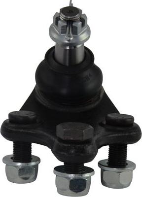 Kavo Parts SBJ-9073 - Шаровая опора, несущий / направляющий шарнир autosila-amz.com