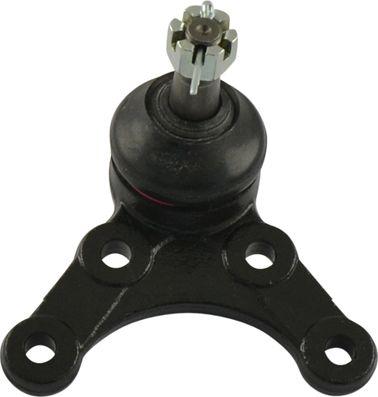 Kavo Parts SBJ-4524 - Шаровая опора, несущий / направляющий шарнир autosila-amz.com