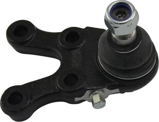 Kavo Parts SBJ-5506 - Шаровая опора, несущий / направляющий шарнир autosila-amz.com