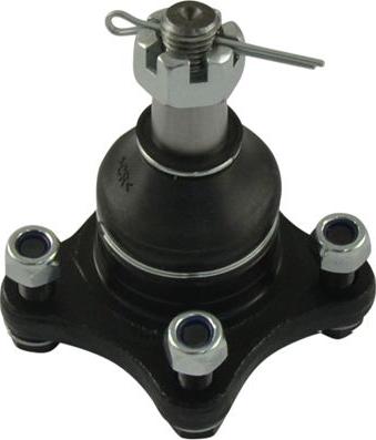 Kavo Parts SBJ-5508 - Шаровая опора, несущий / направляющий шарнир autosila-amz.com