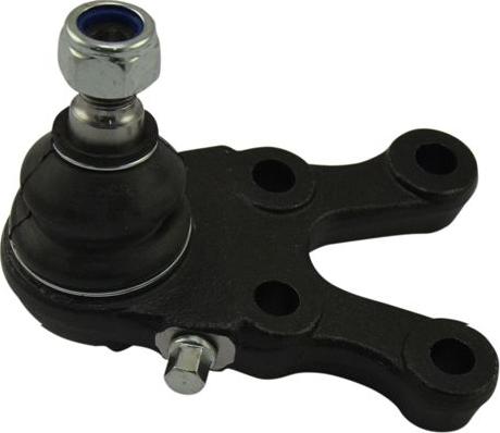 Kavo Parts SBJ-5507 - Шаровая опора, несущий / направляющий шарнир autosila-amz.com