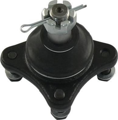 Kavo Parts SBJ-5516 - Шаровая опора, несущий / направляющий шарнир autosila-amz.com