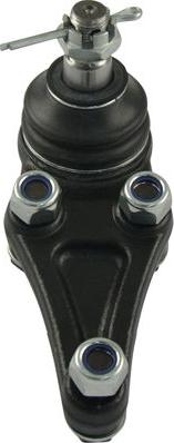 Kavo Parts SBJ-5517 - Шаровая опора, несущий / направляющий шарнир autosila-amz.com