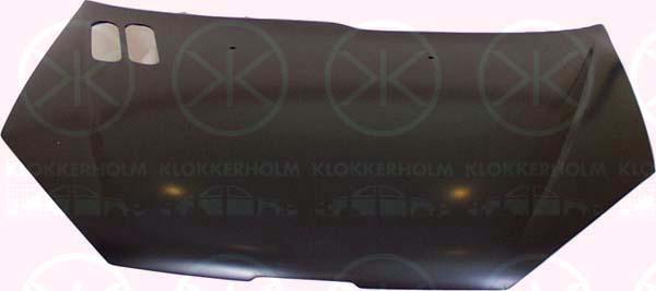 Klokkerholm 5507280 - Капот двигателя autosila-amz.com