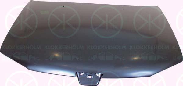 Klokkerholm 5513282A1 - Капот двигателя autosila-amz.com